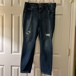 Torrid Skinny Jeans